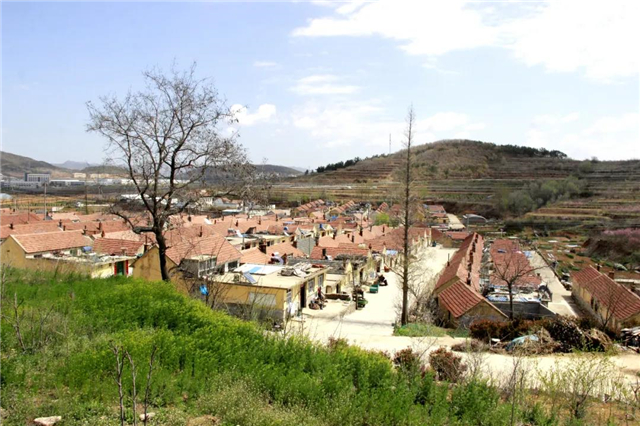 双岛卧龙村：古村蝶变，泉甜、果香，甜蜜产业滋味长