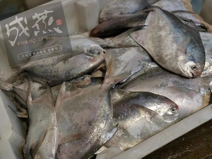 海边别墅海鲜推荐,199元海景房