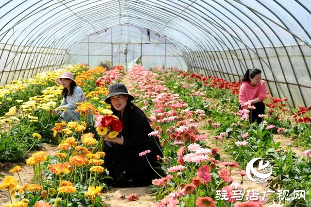 余长旺最近视频,余长旺谈下岗创业