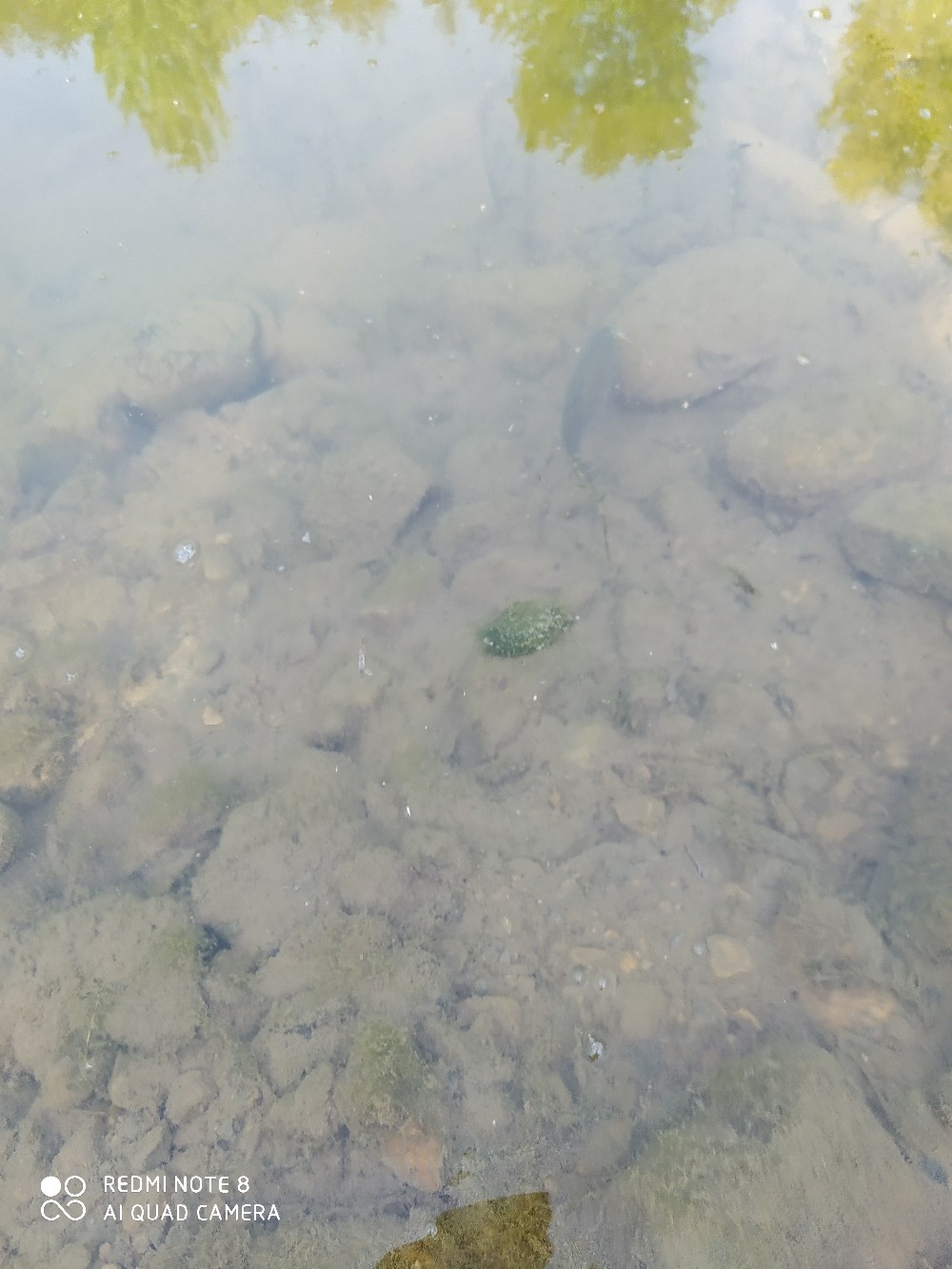 海竿串钩钓大鱼技巧和方法,海竿串钩怎么钓最灵活图解