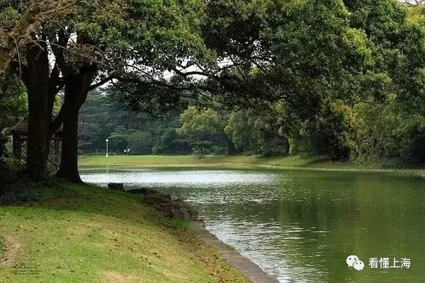 西郊宾馆的历史了解一下,西郊宾馆的环境