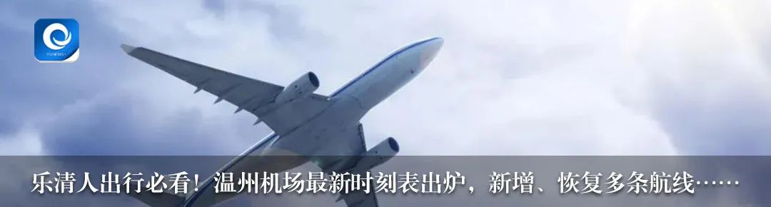 乐清各高中学校的招生代码,乐清高中招生