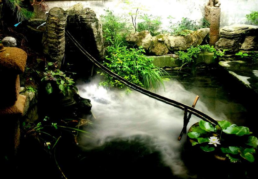 春游江淮请您来｜2019年度安徽省百家精品民宿（黄山篇）