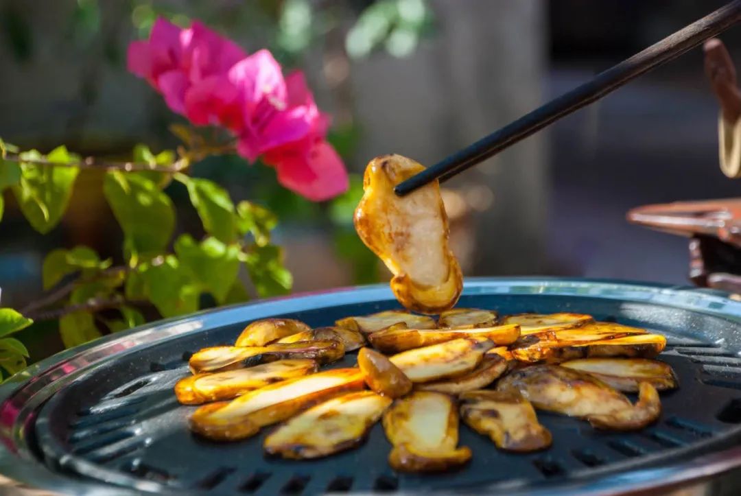 五一打卡超大的油菜花田,五一打卡家门口的花海