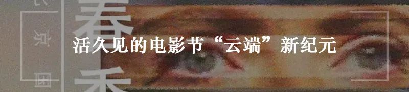 视频格式最实用,视频格式基础知识