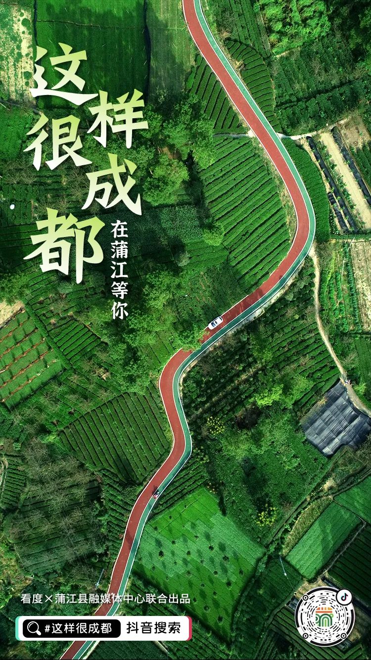 寻找成都100个打卡的地方,成都小众打卡地方推荐