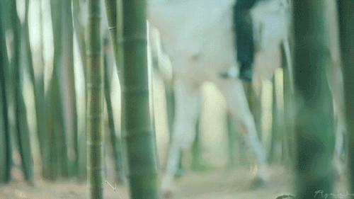 李敏镐扎头发禁忌,李敏镐金丝草卷发