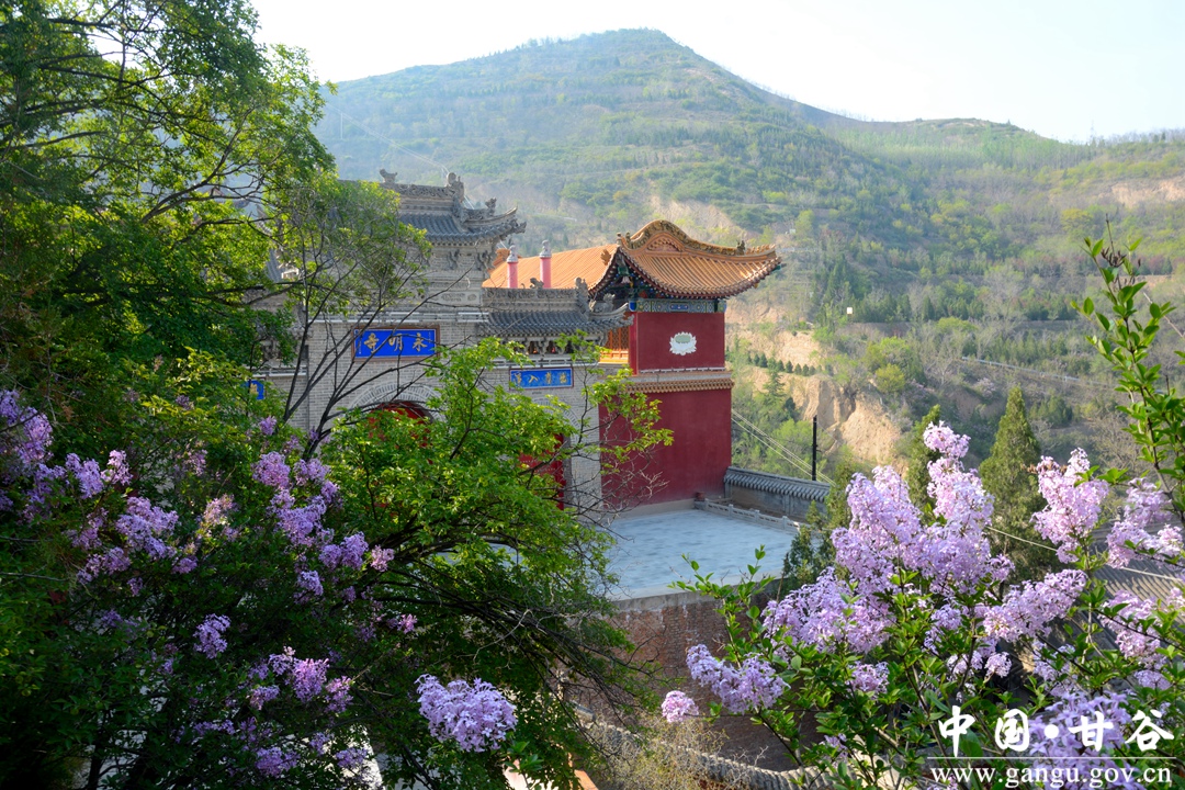甘谷大像山世界之最,甘谷大像山镇全景