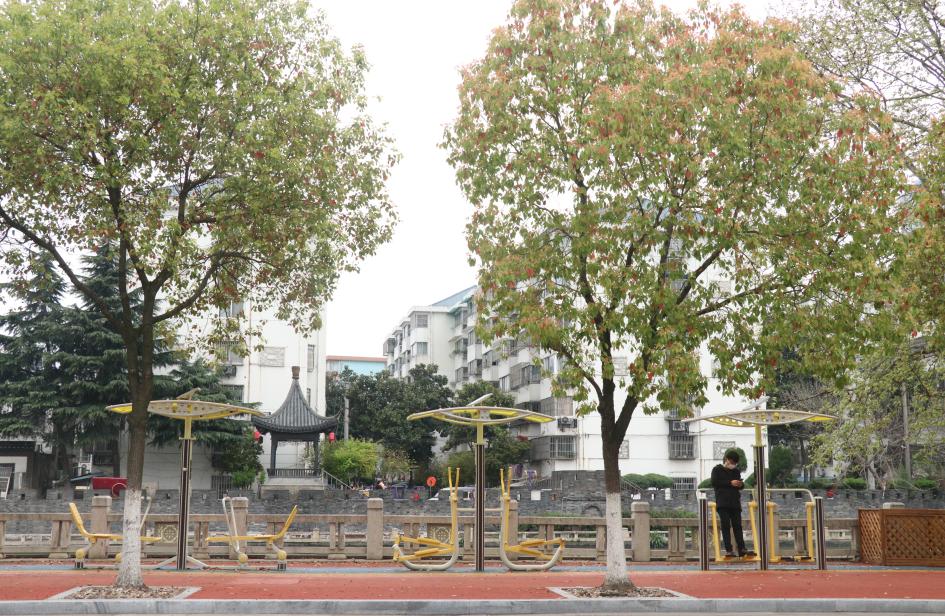 健身步道最新视频,健身走起跟着节奏嗨起来