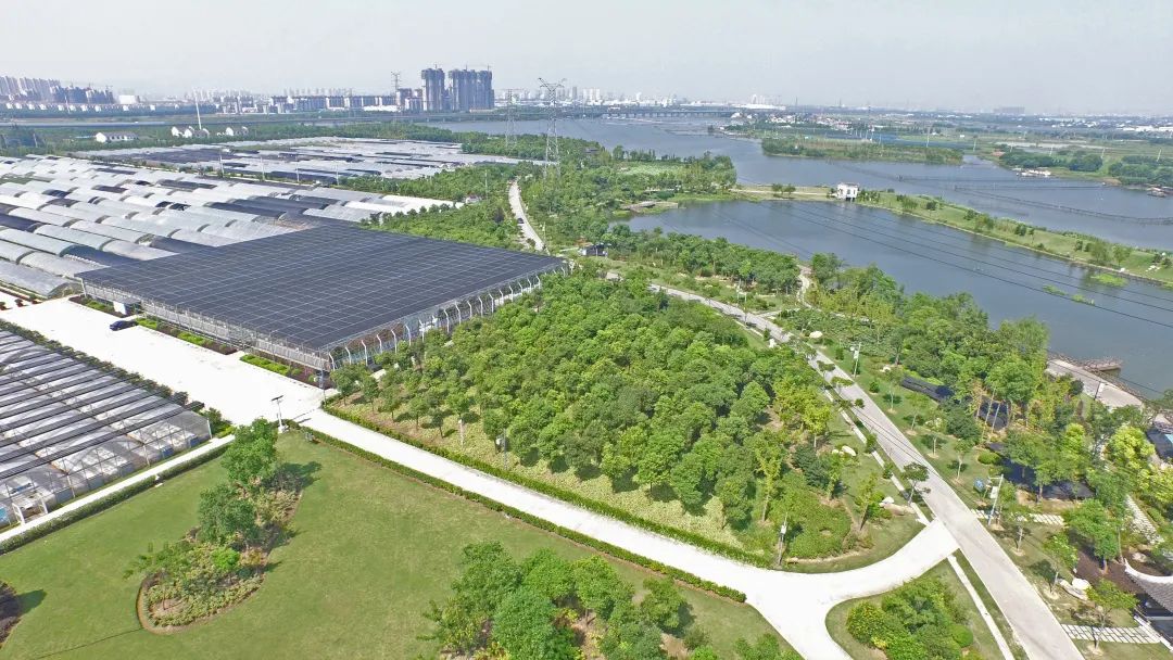 健身步道最新视频,健身走起跟着节奏嗨起来