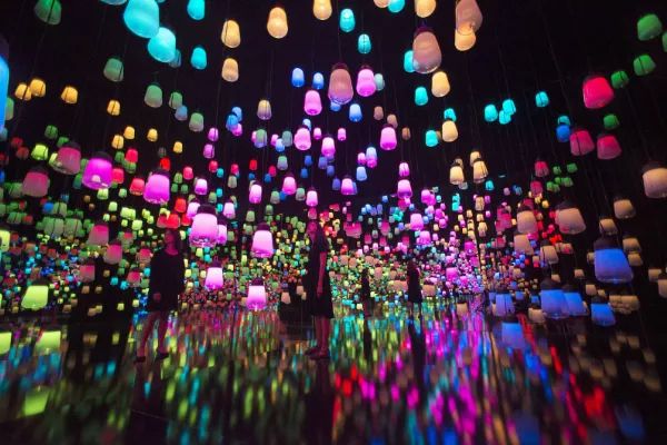 日本在世当代艺术家,日本当代艺术家太阳花