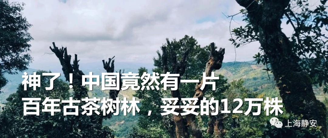 发了几条微信朋友圈判赔80万,发朋友圈被罚80万后续