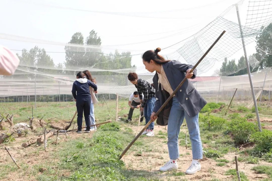 交大姑娘，青春在家乡绽放！棒棒的90后大学生，表彰！