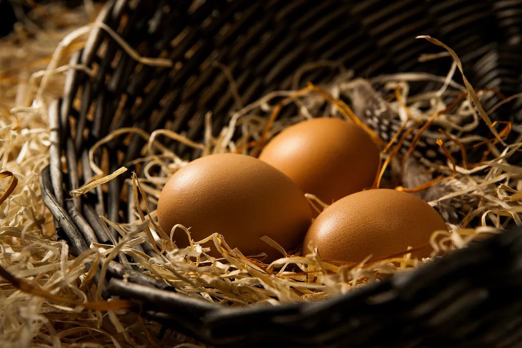 立夏节气由来及习俗英文,二十四节气立夏英文表达