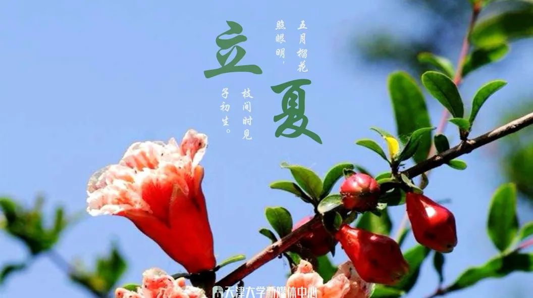 权威发布|天津大学2020年强基计划招生简章