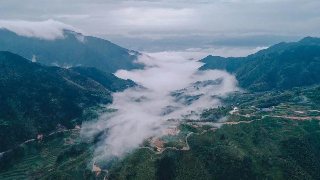 2019年7月20日丽水新闻,丽水新闻快讯