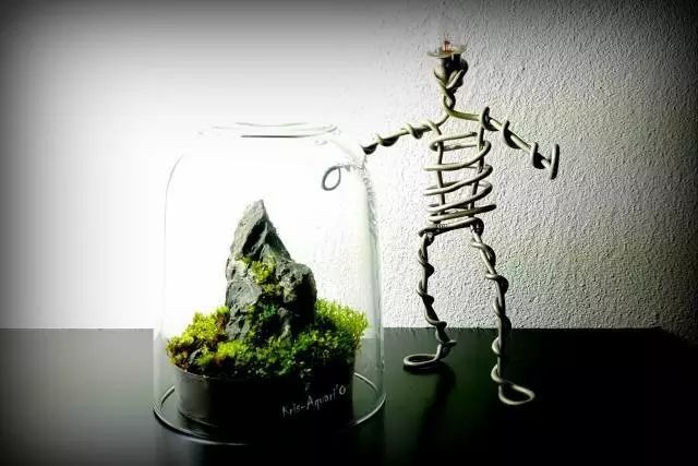 胶囊微景观,胶囊景观