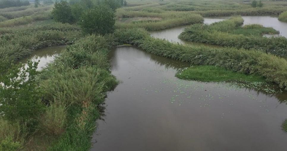 泗洪中考那些事,今日泗洪县大小事