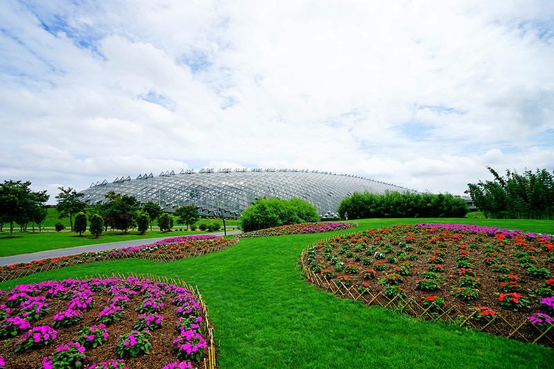 松江9号线好玩的地方有哪些呢,地铁松江一日游