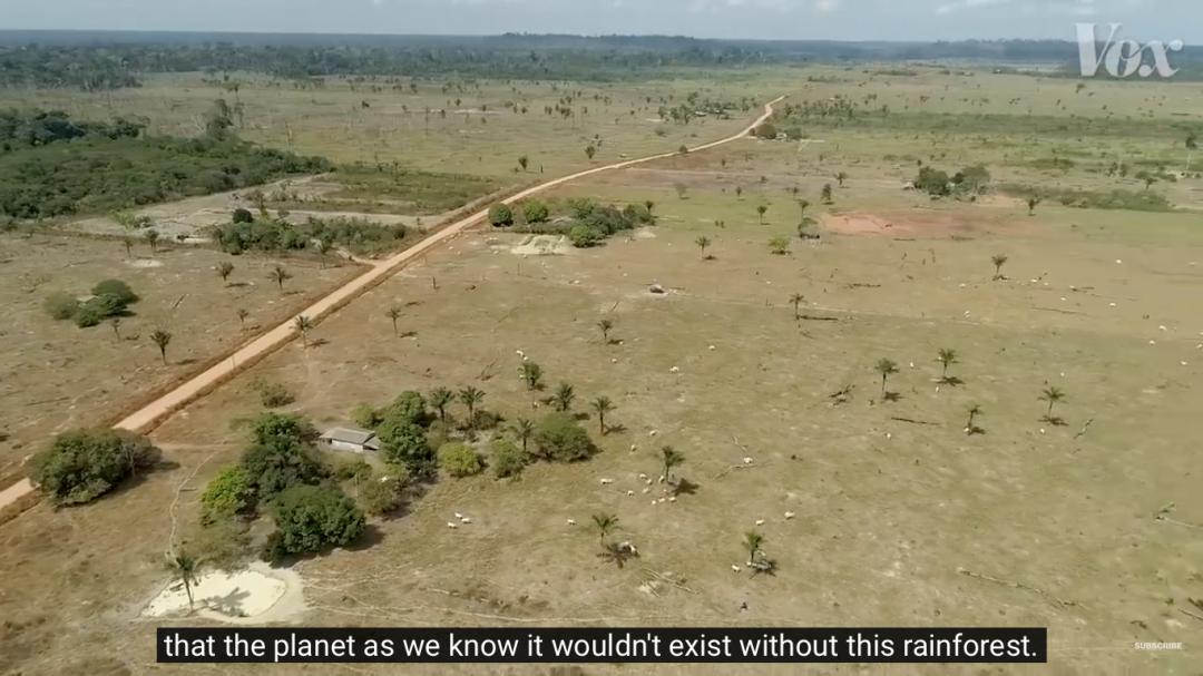 三个月砍掉20个曼哈顿，一年砍掉一个国家，亚马逊已经到了最危急的时候