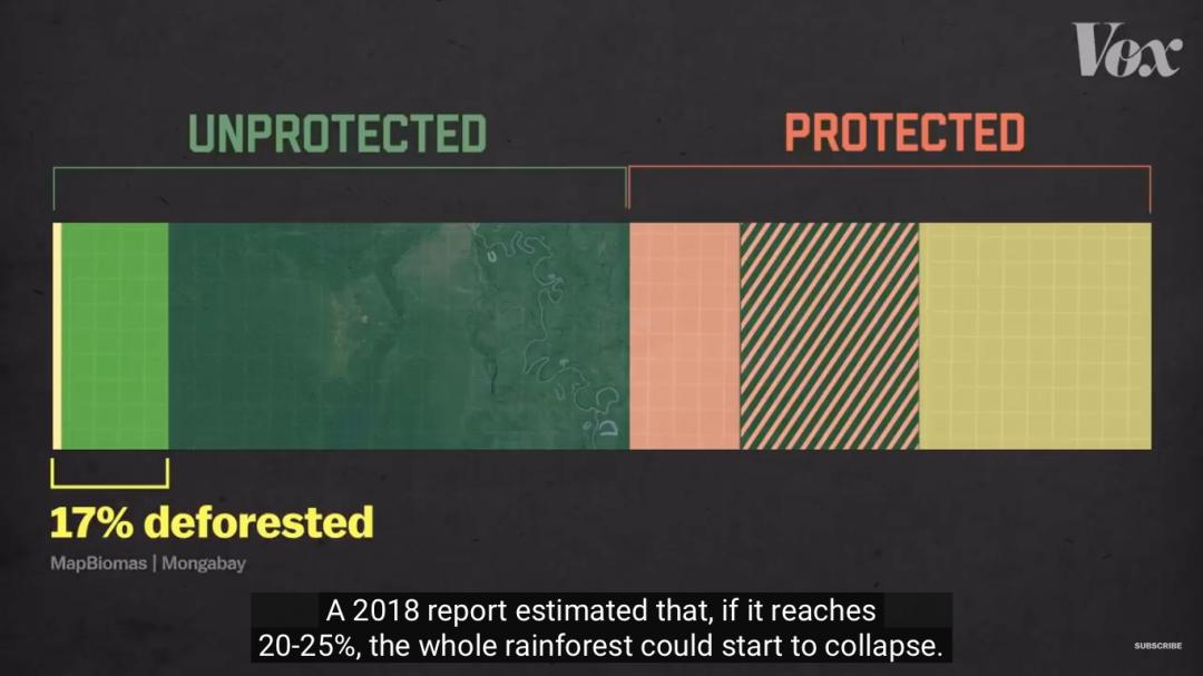 三个月砍掉20个曼哈顿,一年砍掉一个国家,亚马逊已经到了最危急的时候