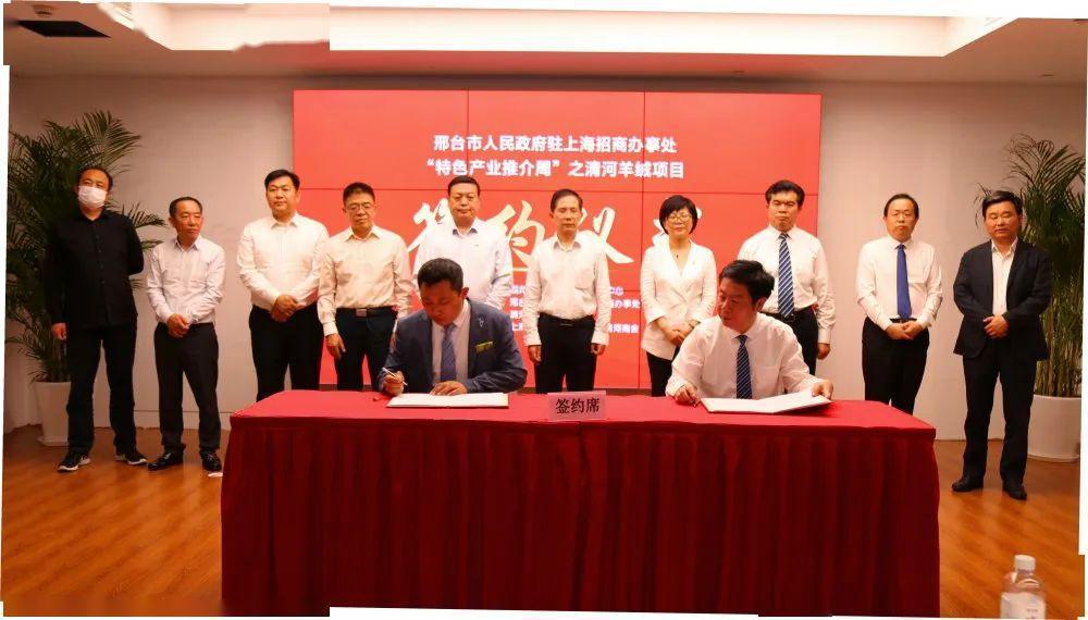 清河羊绒项目上海签约 (清河羊绒上海签约)
