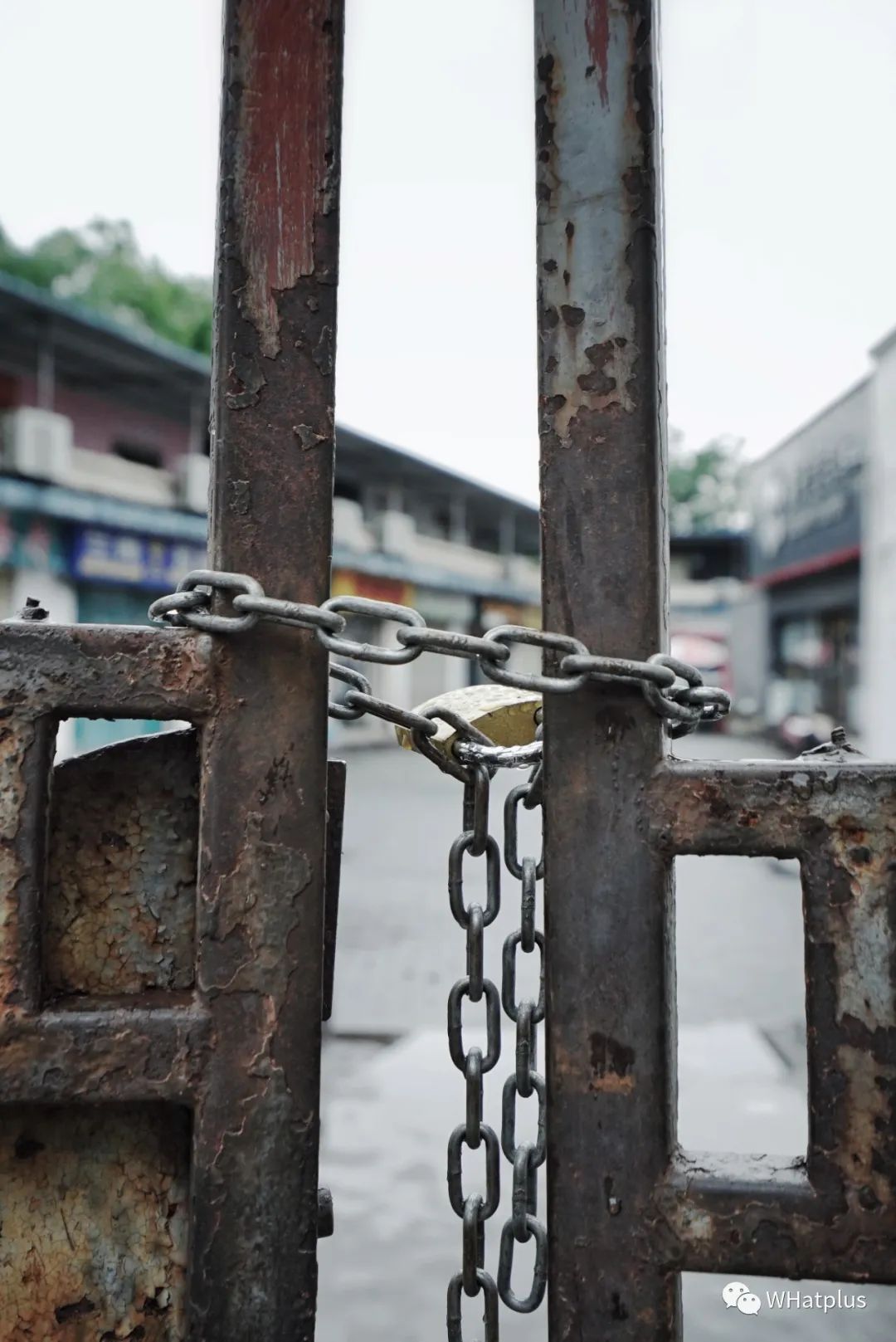 财大后街热闹么,财大后街现状图片