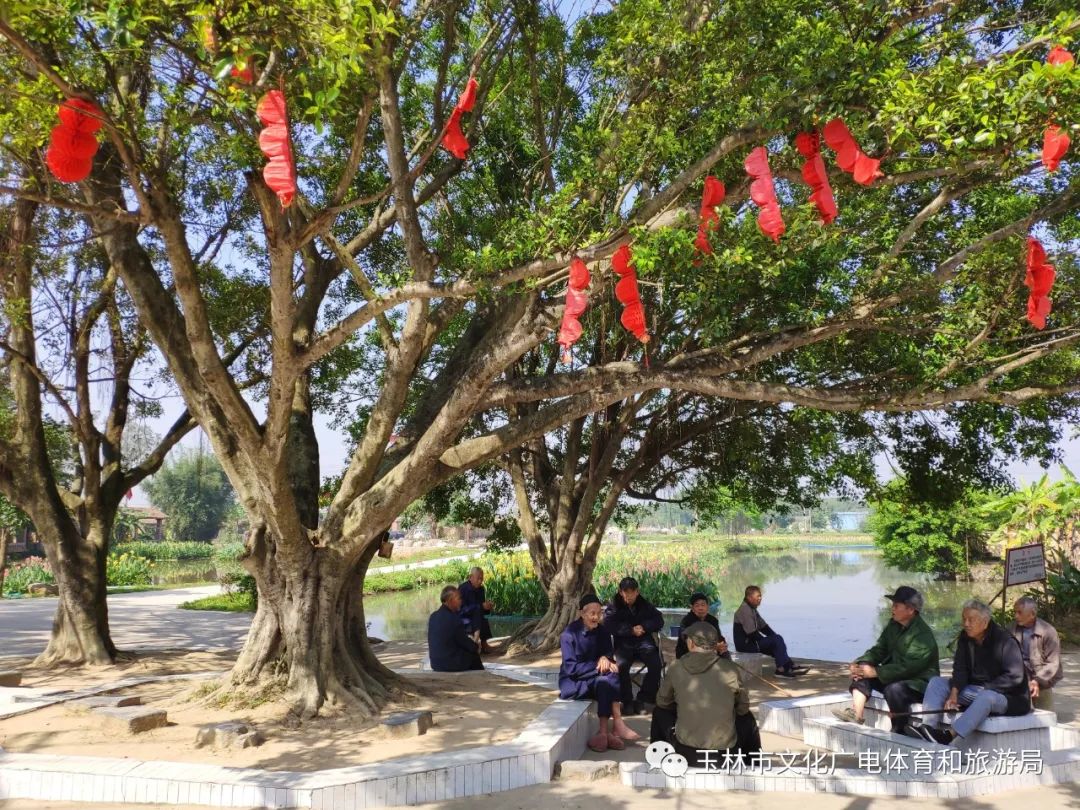 分享|“云游”林间小屋、石砌村道、稻田果树！乡村康养的好去处