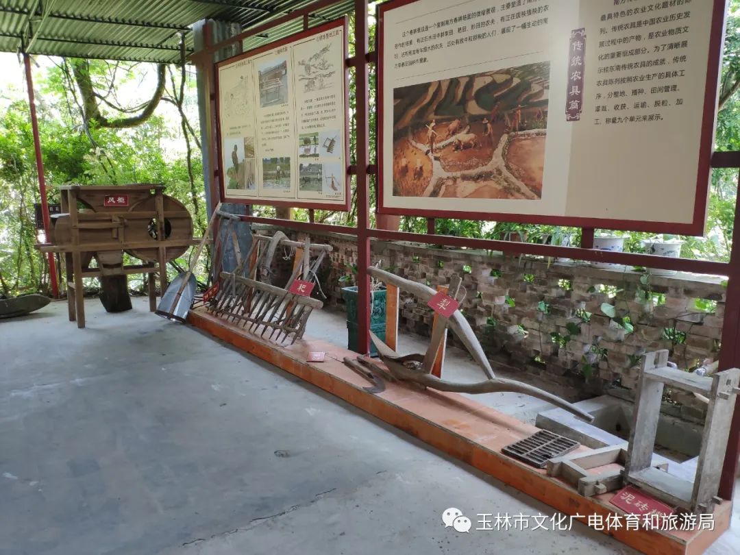 分享|“云游”林间小屋、石砌村道、稻田果树！乡村康养的好去处