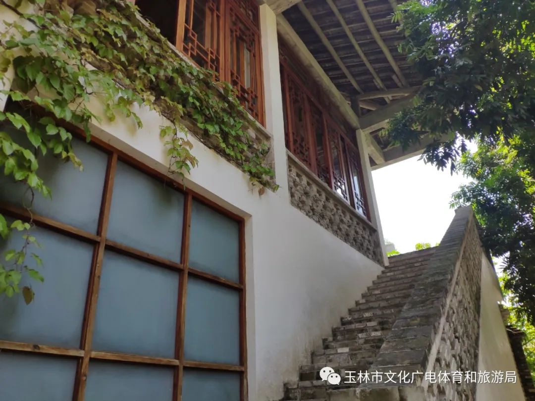 分享|“云游”林间小屋、石砌村道、稻田果树！乡村康养的好去处