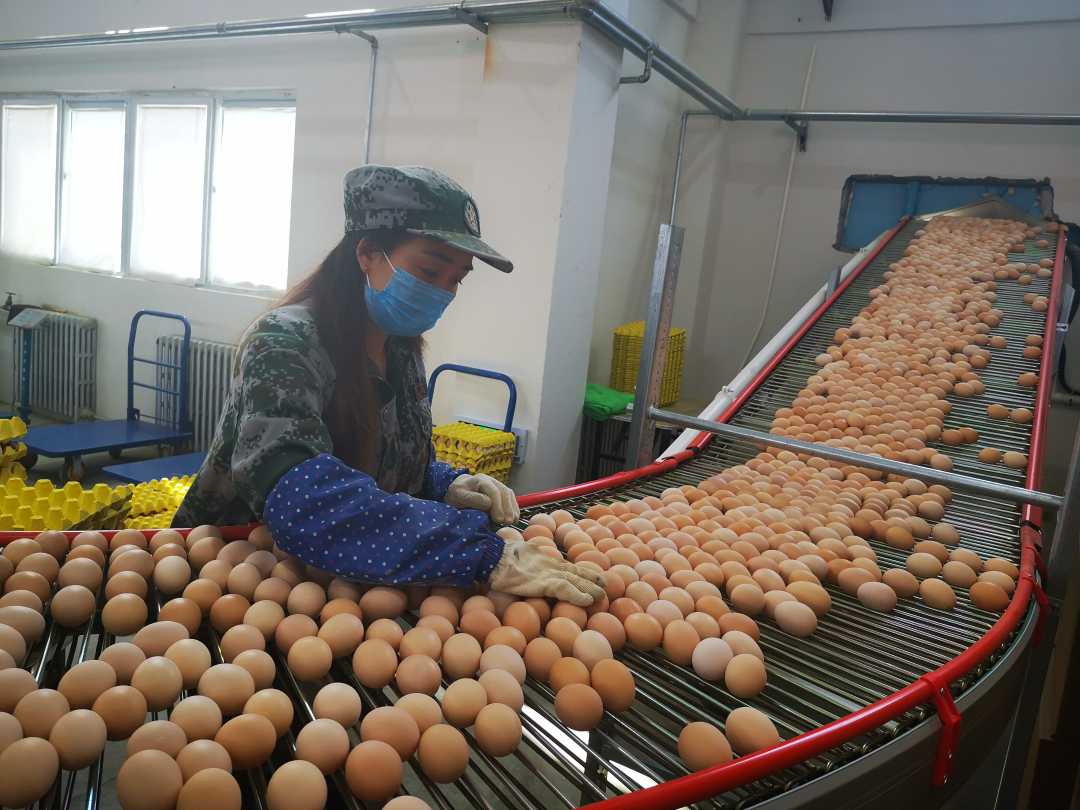 甘肃一扶,甘肃礼县一扶一带名单