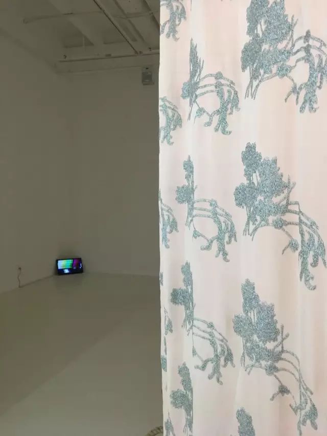 凤凰艺术|悼念肖雄:转换是一个轮回再生