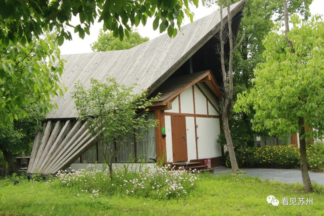 苏州森林里野奢树屋,苏州泡温泉度假的地方推荐