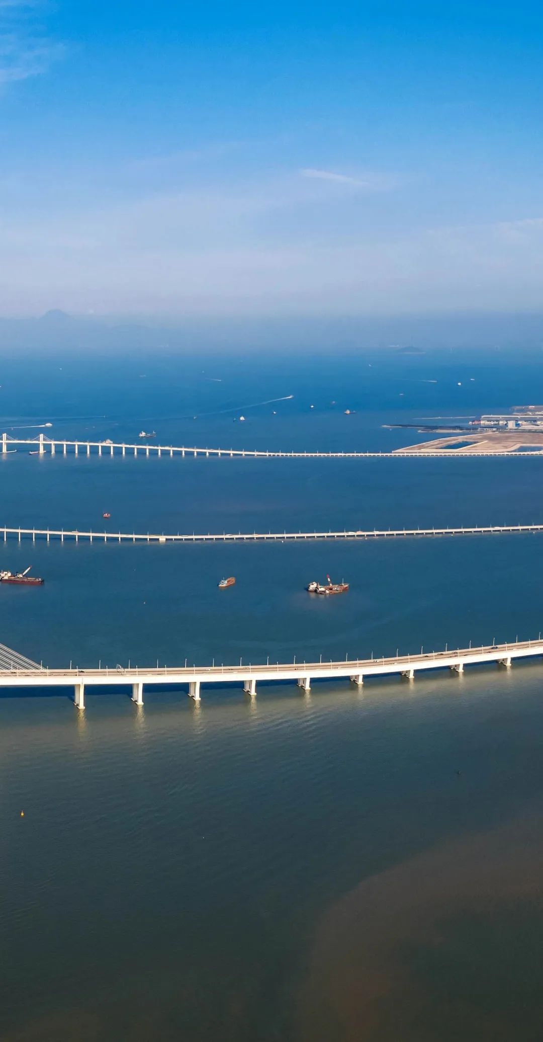 这种澳门太激荡了