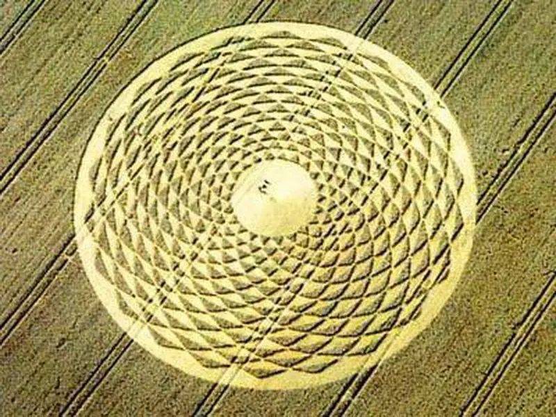 向往的生活带你体验乡间的路,向往的生活田园生活