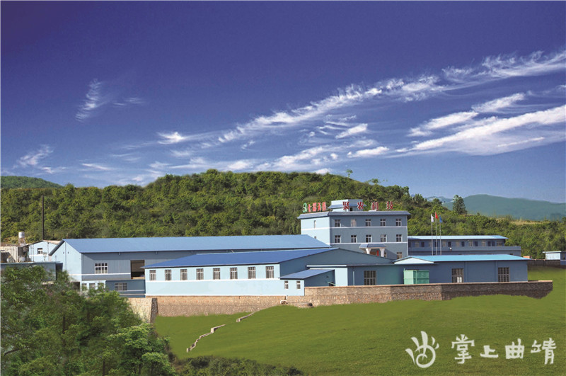 七彩天香核桃乳图片,核桃乳加工产品有哪些