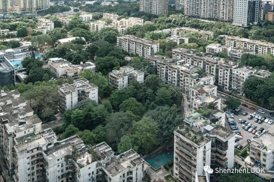 LOOK|这，就是园岭