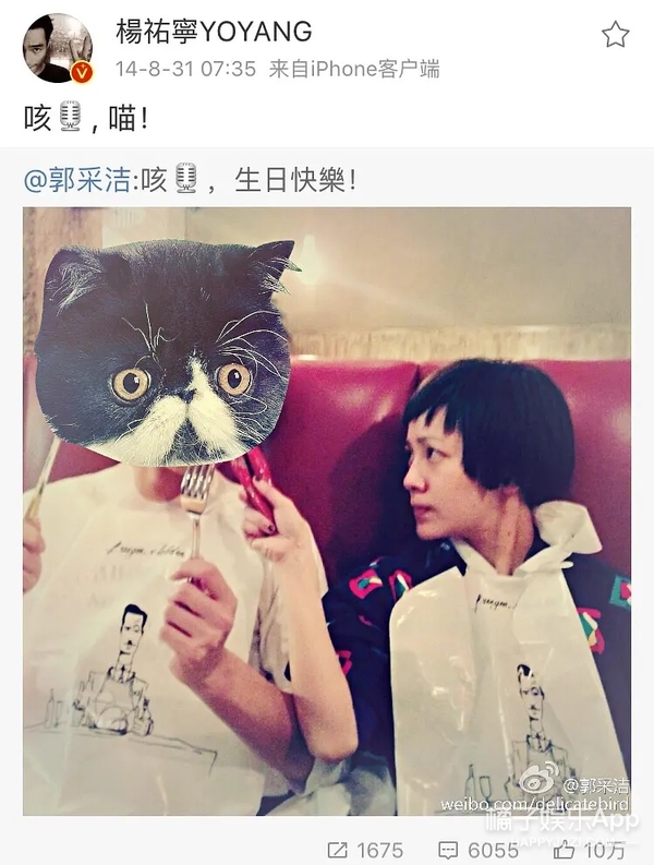 杨佑宁郭采洁都挺好杨祐宁,杨祐宁与郭采洁曾经因戏生情