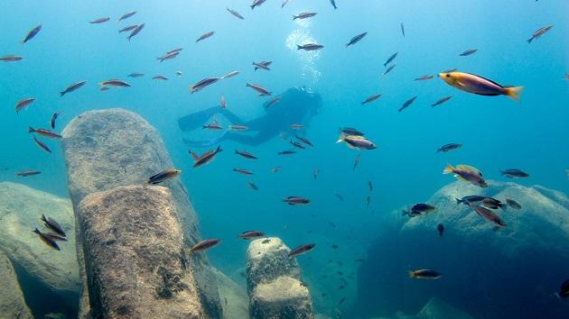 坦干喀伊湖纪录片全集,坦干伊喀湖图片