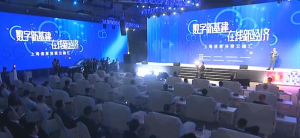 副市长走上直播台，上海迄今最高规格带货大会都推荐了啥？