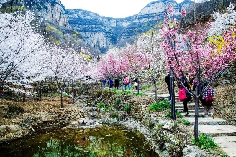 淄博博山区门票免费政策,淄博周边免票