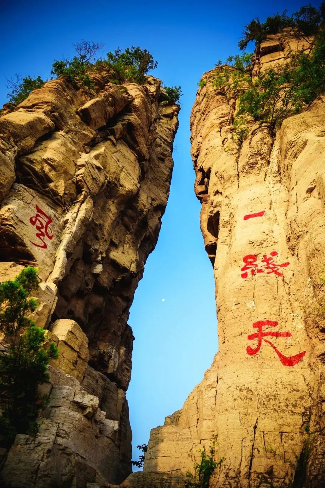 淄博景区半价,淄博3月底免费景点免费开放通知