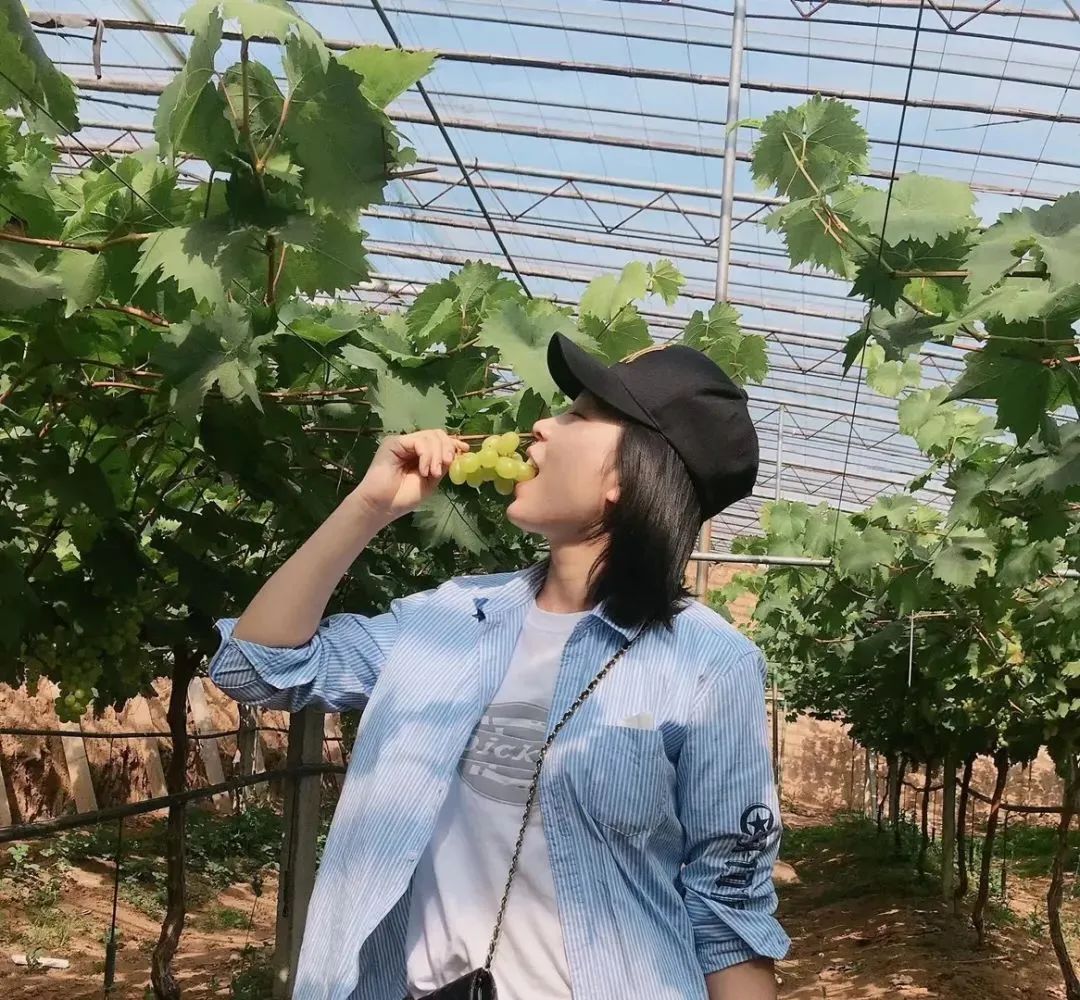 淄博景区半价,淄博3月底免费景点免费开放通知