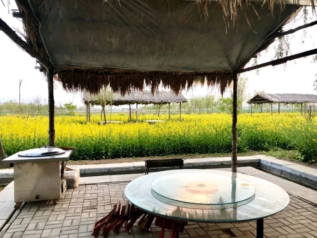 淄博景区半价,淄博3月底免费景点免费开放通知