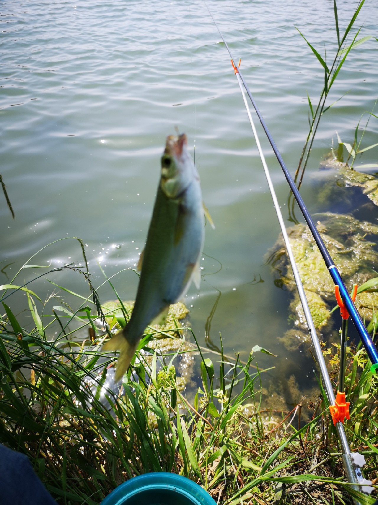 大餐条拉得很有手感，就是太费子线