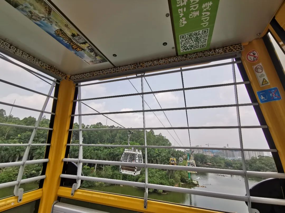 最新广州长隆野生动物园南门攻略,广州长隆动物园的白虎简介