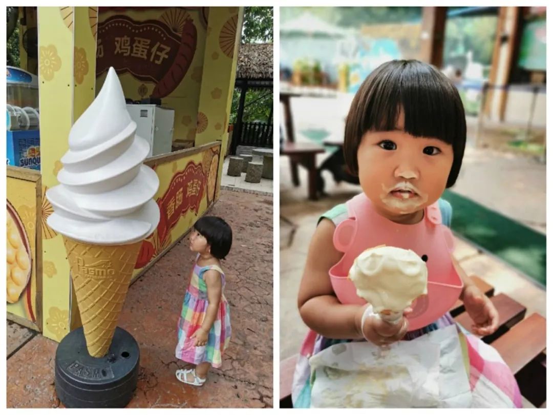 最新广州长隆野生动物园南门攻略,广州长隆动物园的白虎简介