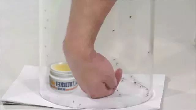 日本变态灭蚊神器,日本蚊虫叮咬止痒膏红皮