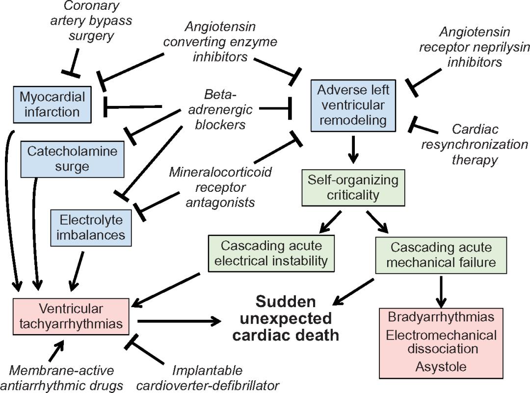 射血分数降低型心衰不好恢复吗,射血分数降低心衰预后