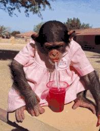 我忍痛戒掉了可乐，但万万没想到：这些饮料，更不健康